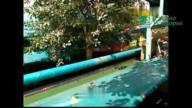 Черешня вяленая