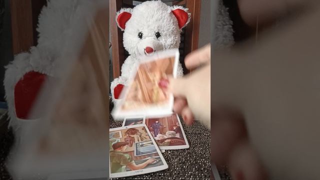 смотрит ли мужчина сторисы через приватные настройки в мессенджерах?
