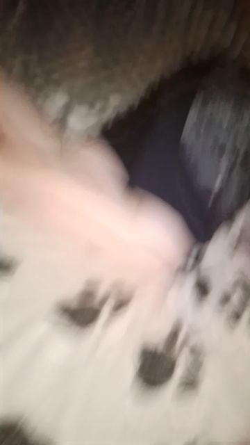 1000159977.mp4