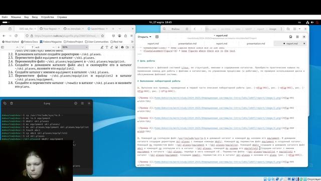 Лабораторная работа №7. Отчет