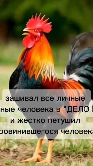 славяне против демонов