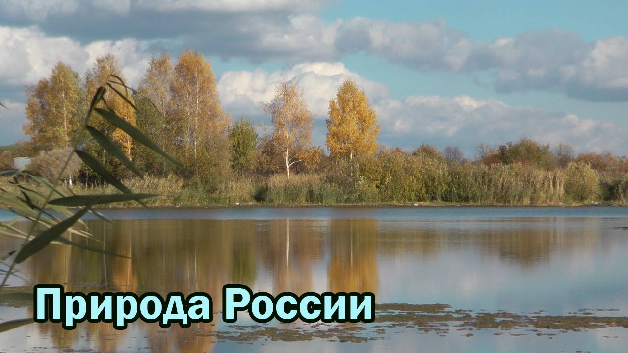 Природа России