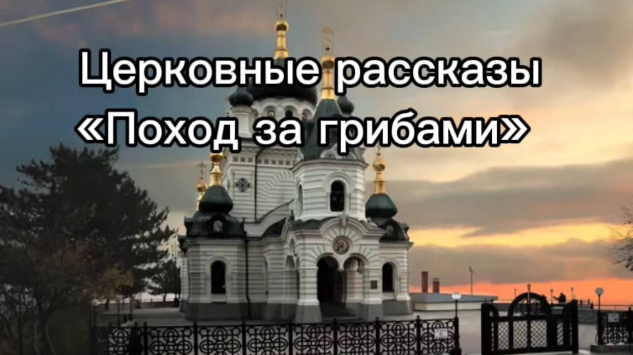 Церковные рассказы "Поход за грибами"