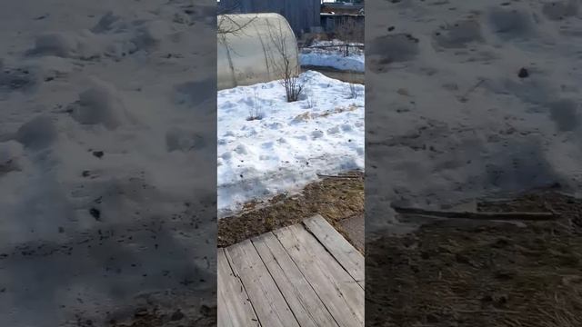 у бабушки