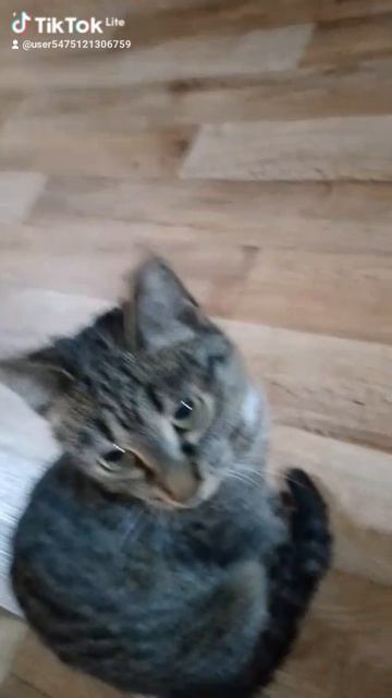 1000000916.mp4
