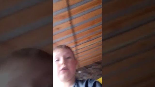 обзор велика