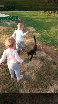 Кошек любим с рождения. Недоношенные дети. Королевская двойня. А4. Челлендж. Пранк. Распаковка.