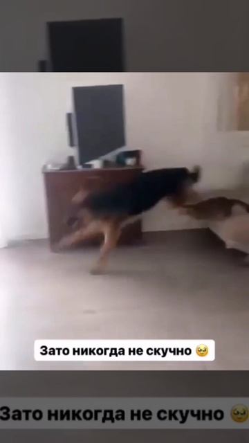Зато никогда не скучно
