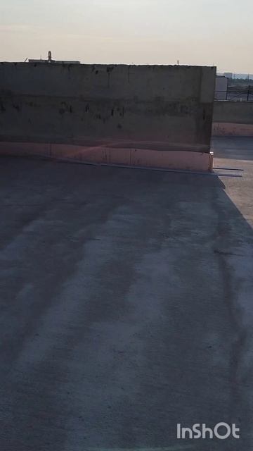 1000009500.mp4