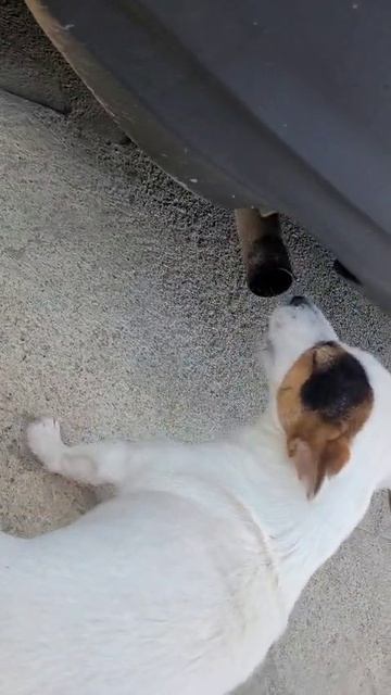1000002555.mp4