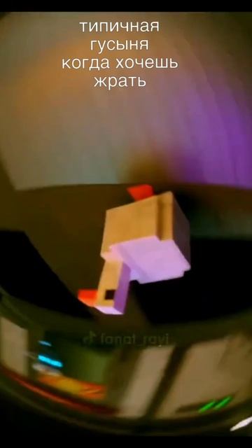 типичная гусыня когда хочет жрать