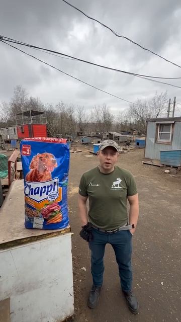 Б - Благодарность ❤️🔥 #помощьживотным