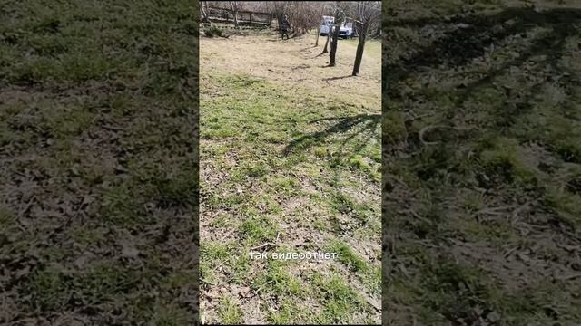 Весна на даче, день второй
