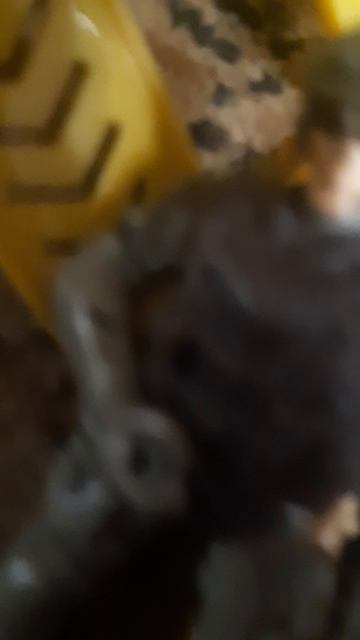 Трейлер детского фильма 
СИРЕНОГОЛОВЫЙ