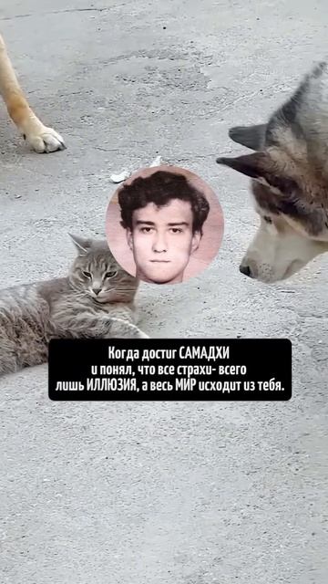 1000017878.mp4