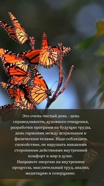🌺 22 ИЮНЯ 💫 ЛУННЫЙ КАЛЕНДАРЬ И АСТРОПРОГНОЗ НА СУББОТУ #лунныйдень #лунныйкалендарь #лунныециклы