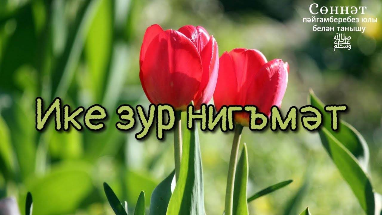 Ике зур нигъмәт | Рамил Гәйнетдинов