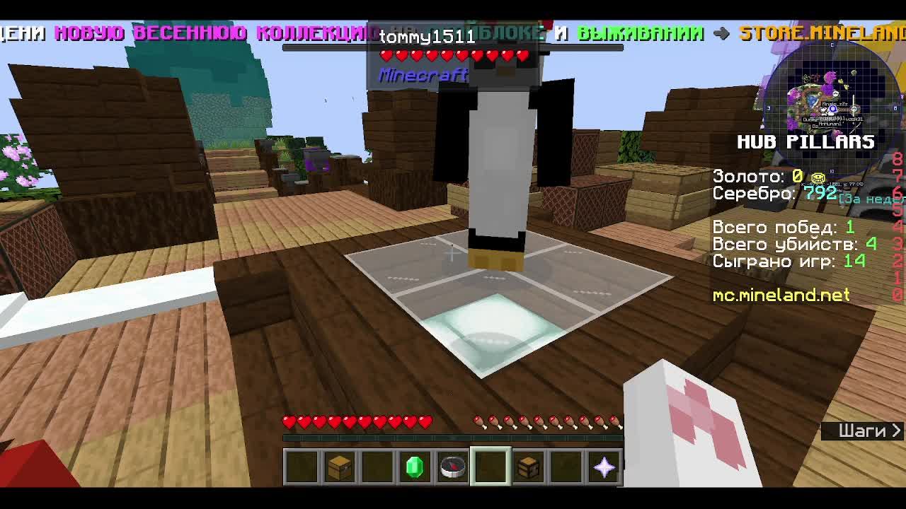 Minecraft Gaming