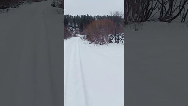 VID_20250328_140124.mp4
