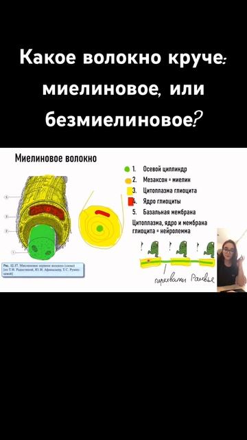 Тг канал: неврология на коленке