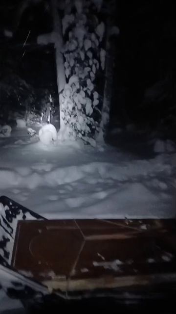 WhatsApp Video 2025-03-28 at 00.23.44