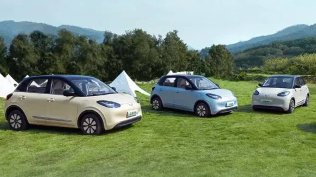 Wuling Binguo