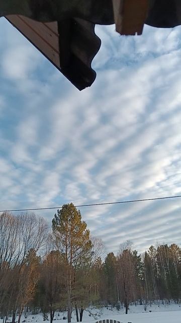 28 марта 2025 г. Наблюдение для рисования.