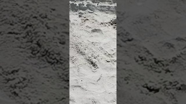море...море...