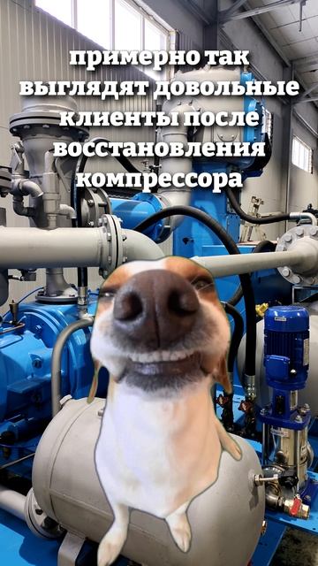Довольные клиенты