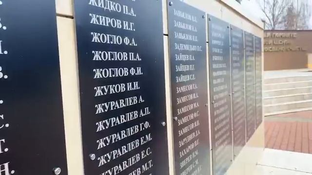 Видео от Андрея Гузя. Стихотворение "Лейкоциты"