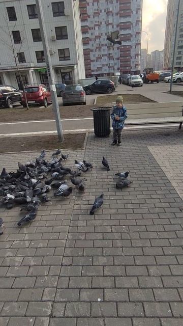 Не реклама