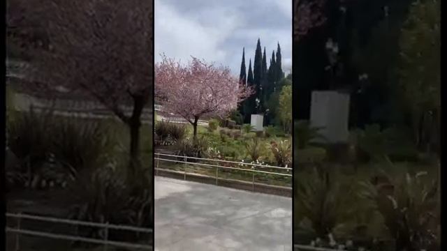 Погода в Сочи!!! Вау!!!