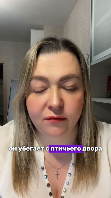 ГАДКИЙ УТЕНОК: символический разбор.О чем СКАЗКА?#психология #самоценность #инициация #сказкотерапия