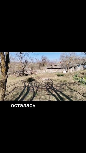 Расчищаем заброшеную дачу, день 3