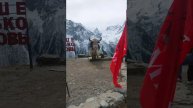 Выше только любовь