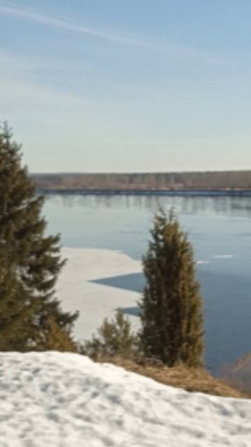 Утренняя прогулка 🌲🌲🌲