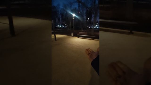 Площадка в Наташинском парке в Люберцах Московская область