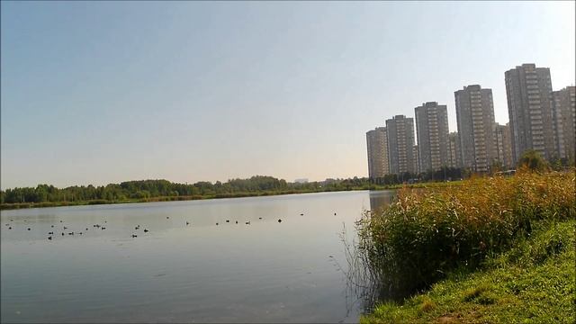 Вейк Парк. Питер. 04.09.2024.