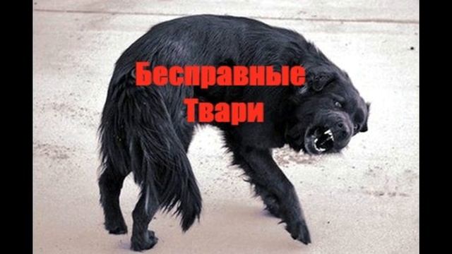 Сборка Звонков Каалекторов
