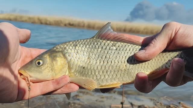 РЫБАЛКА НА ПОПЛАВОЧНУЮ УДОЧКУ И ДОНКУ))ОТЛИЧНЫЙ КЛЁВ В НАЧАЛЕ МАРТА))