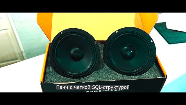 Установка Phoenix SQL 165 в Ford Fiesta mk6