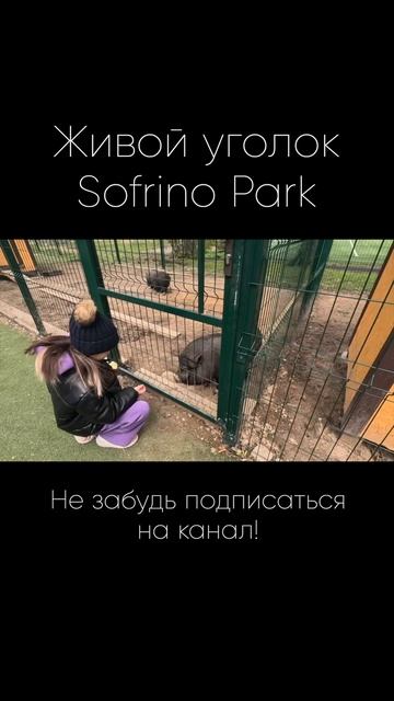 Живой уголок #shorts #животнные #animals #зоопарк #sofrinopark