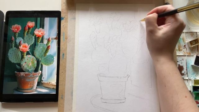 Кактус акварелью. Урок 1