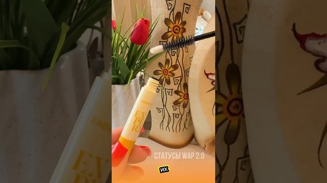 1000046505.mp4