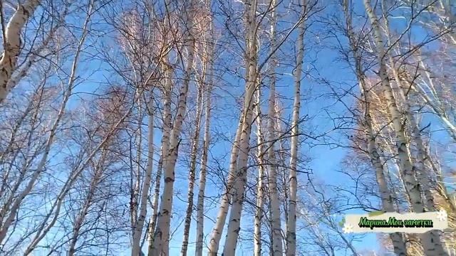 Весна, как много в этом звуке...