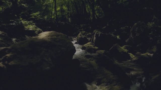 cardigan - Ismael Fernández (Official Lyrics Video) (Taylor Swift Cover)