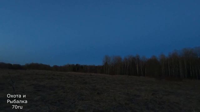 Вечерняя тяга ВАЛЬДШНЕПА. Взят ТРОФЕЙ!!!!