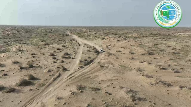 В Туркменистане прошел турнир по ралли-рейду
