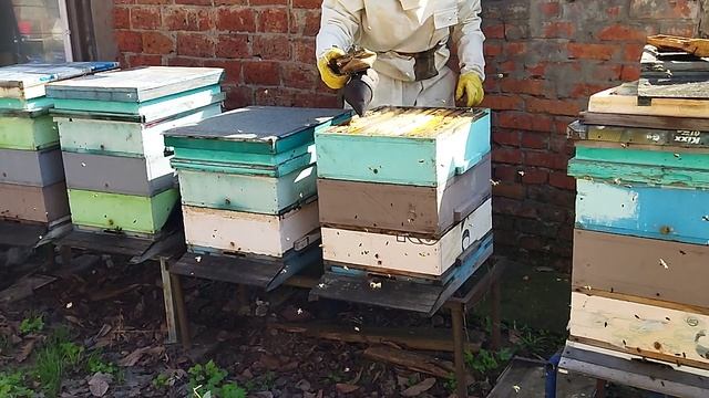 29-03-2025 Первые весенние работы на пасеке