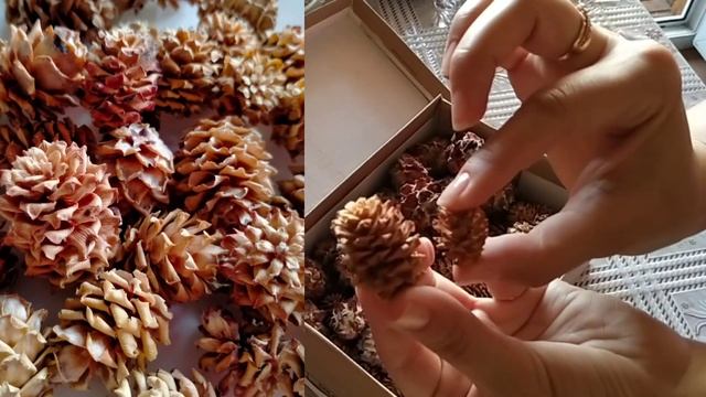 Мої природні матеріали (шишки та сухоцвіти) / My natural materials (cones and dried flowers)